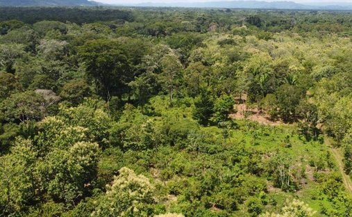 Terrain à Yemeri Grove, Tolède, Belize 1