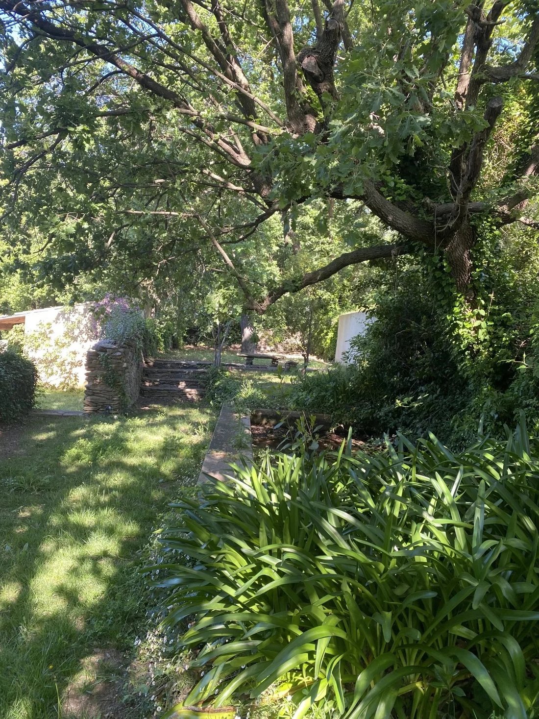 Estate in La Garde-Freinet, Provence-Alpes-Côte d'Azur, France 2 - 18590108