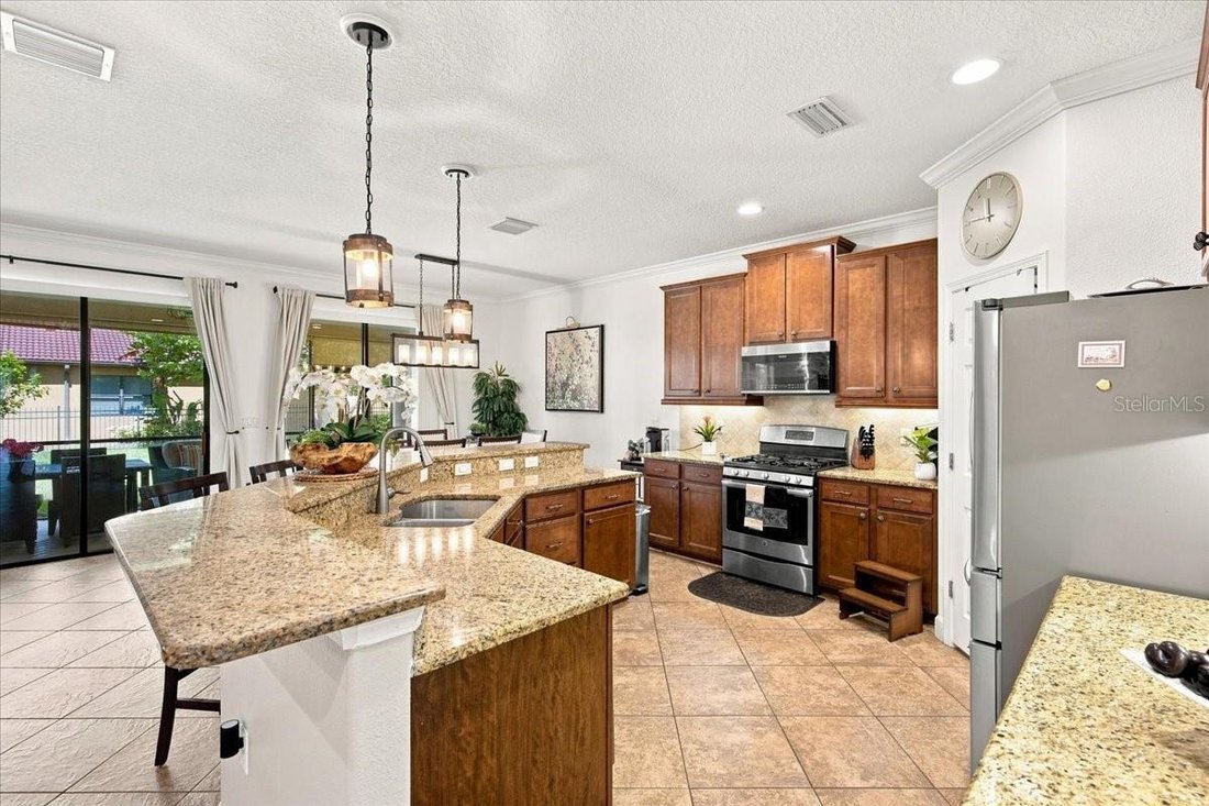 House in Palm Harbor, Florida, United States 5 - 18612557