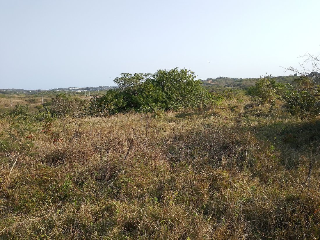 Land in Johannesburg, Gauteng, South Africa 1 - 18609687