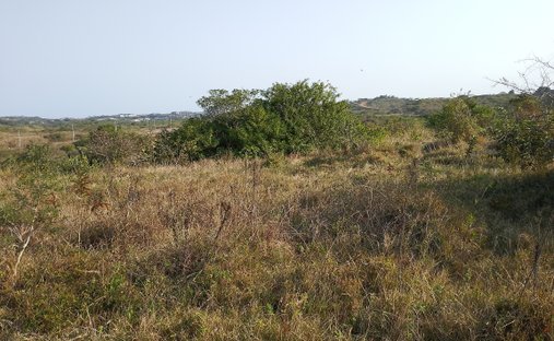Land in Johannesburg, Gauteng, South Africa 1