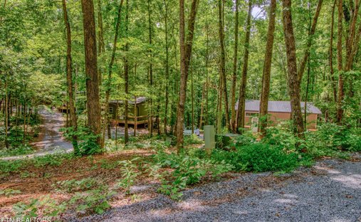 Rutledge, Tennessee, United States 1