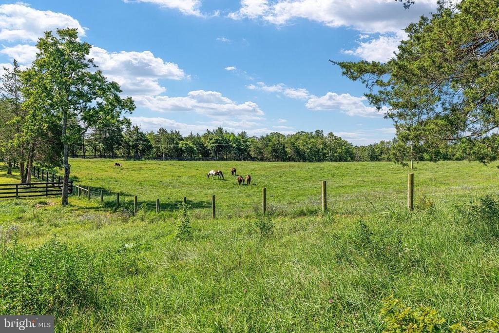 Farm Ranch in Front Royal, Virginia, United States 5 - 18615535