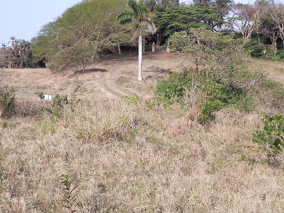 Land in Johannesburg, Gauteng, South Africa 4 - 18609687