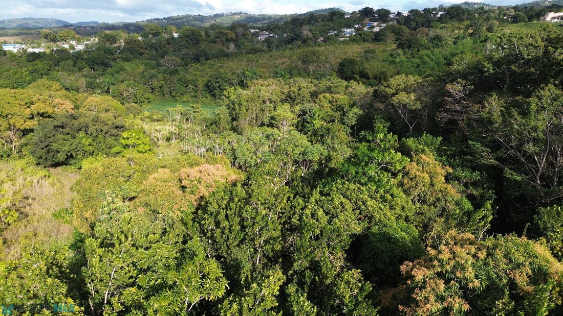 Land in Aguada, Aguada, Puerto Rico 1 - 18609497
