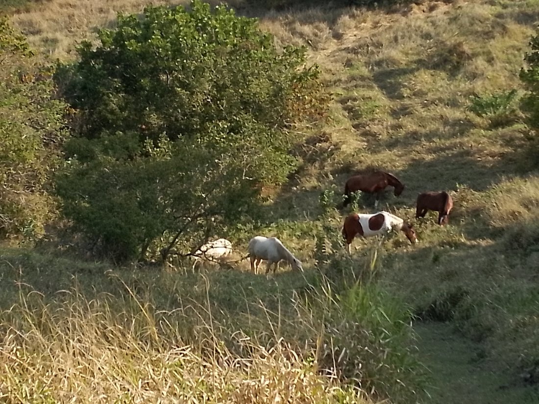 Land in Johannesburg, Gauteng, South Africa 1 - 18609639