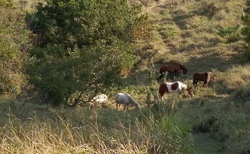 Land in Ballito, KwaZulu-Natal, South Africa 1