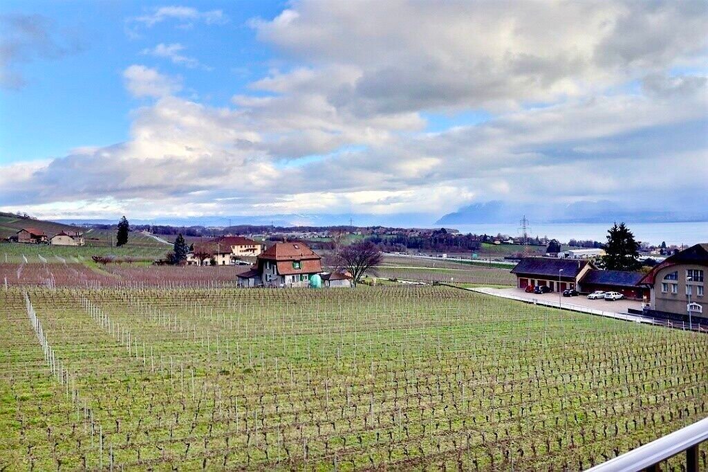 Appartement à Mont-sur-Rolle, Vaud, Suisse 1 - 18523643