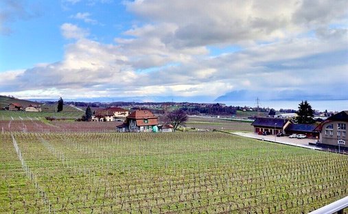 Appartement à Mont-sur-Rolle, Vaud, Suisse 1