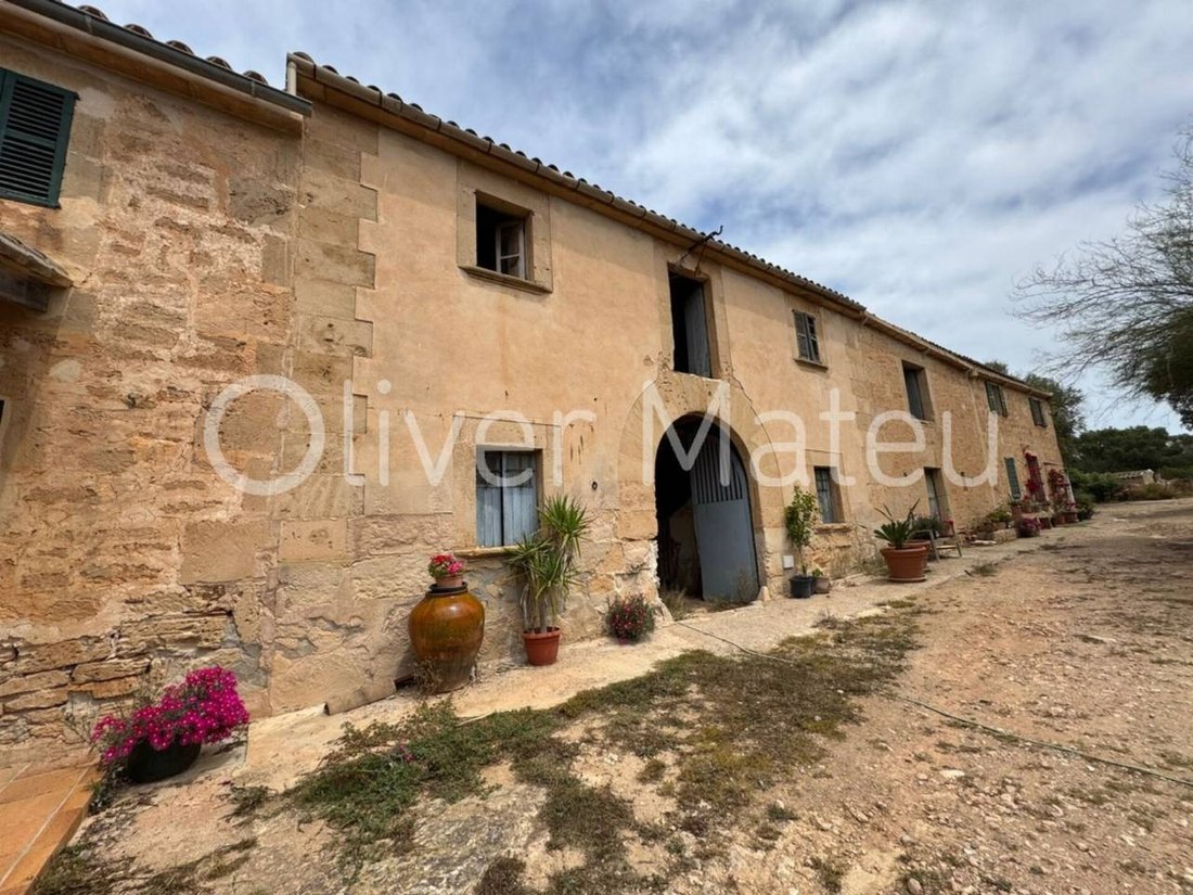 Finca in Llucmajor, Balearic Islands, Spain 4 - 18192729