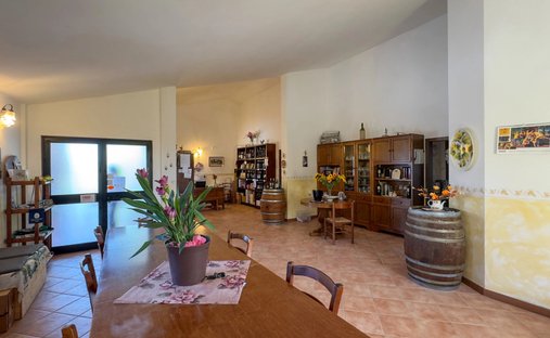 Estate in Montalcino, Tuscany, Italy 1