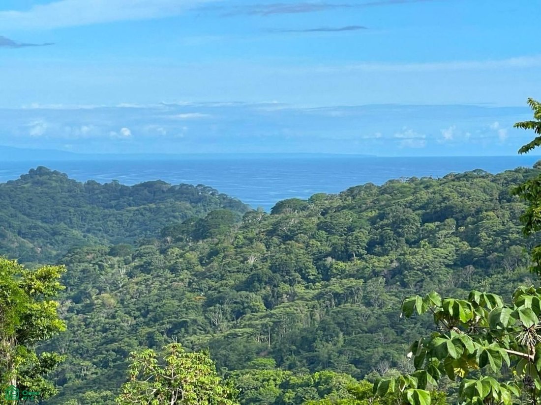 Terreno en Savegre, Provincia de Puntarenas, Costa Rica 1 - 17804529