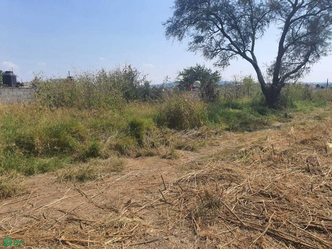 Land in Puente Grande, Jalisco, Mexico 1 - 18340221