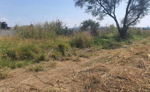 Land in Puente Grande, Jalisco, Mexico 1