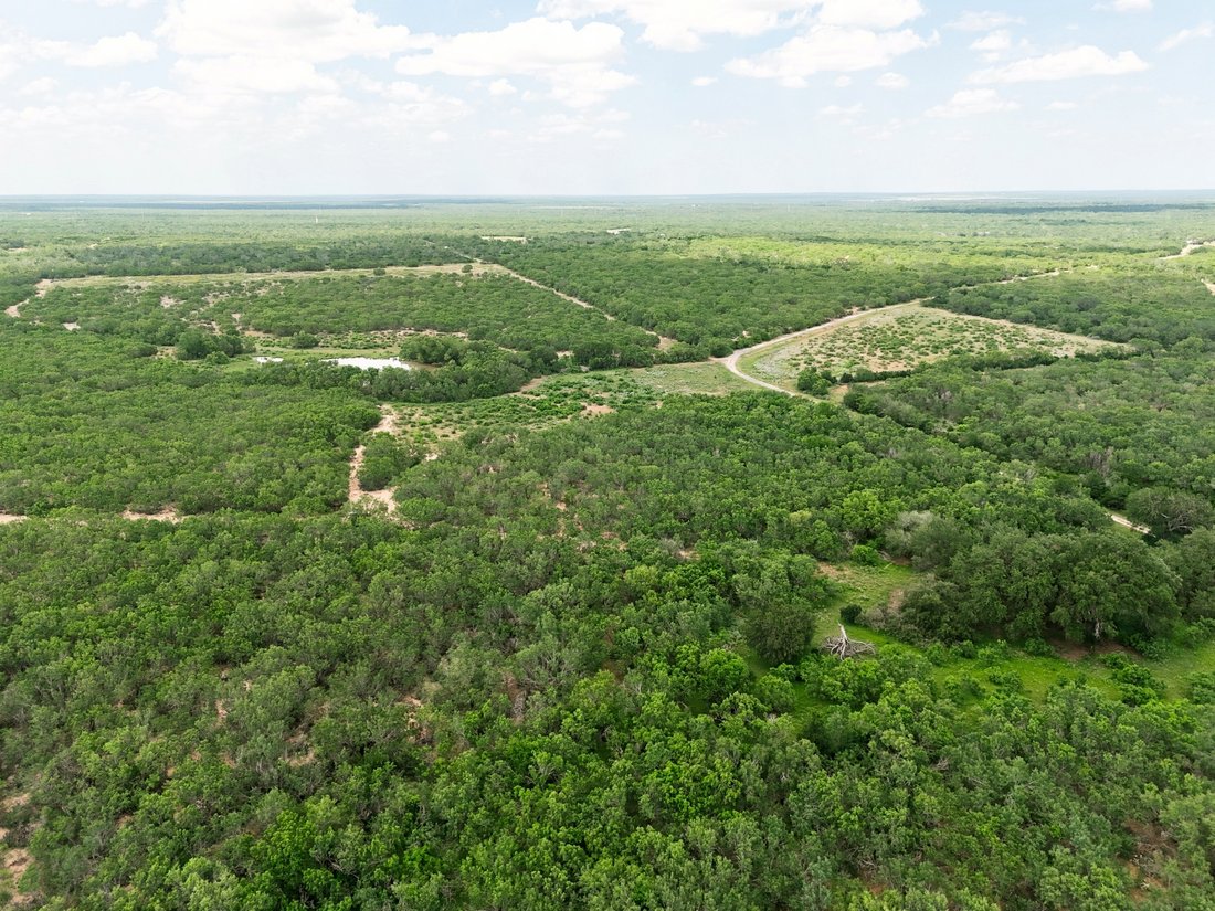 Farm Ranch in Pearsall, Texas, United States 2 - 18611381