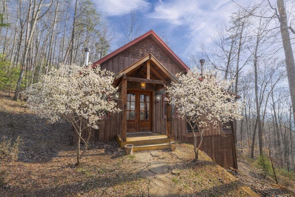 House in Cherry Log, Georgia, United States 1 - 18612707