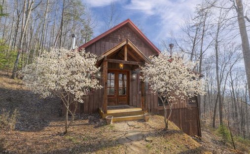House in Cherry Log, Georgia, United States 1