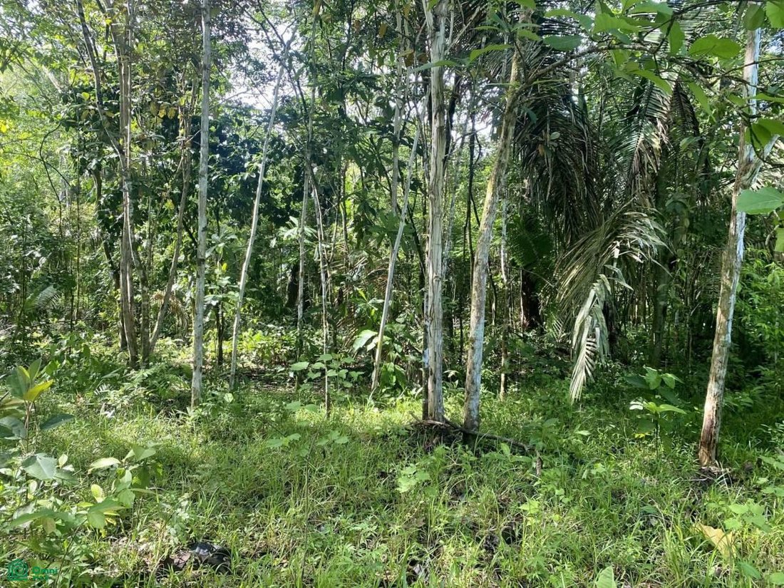 Land in Parrita, Parrita, Costa Rica 4 - 17811446