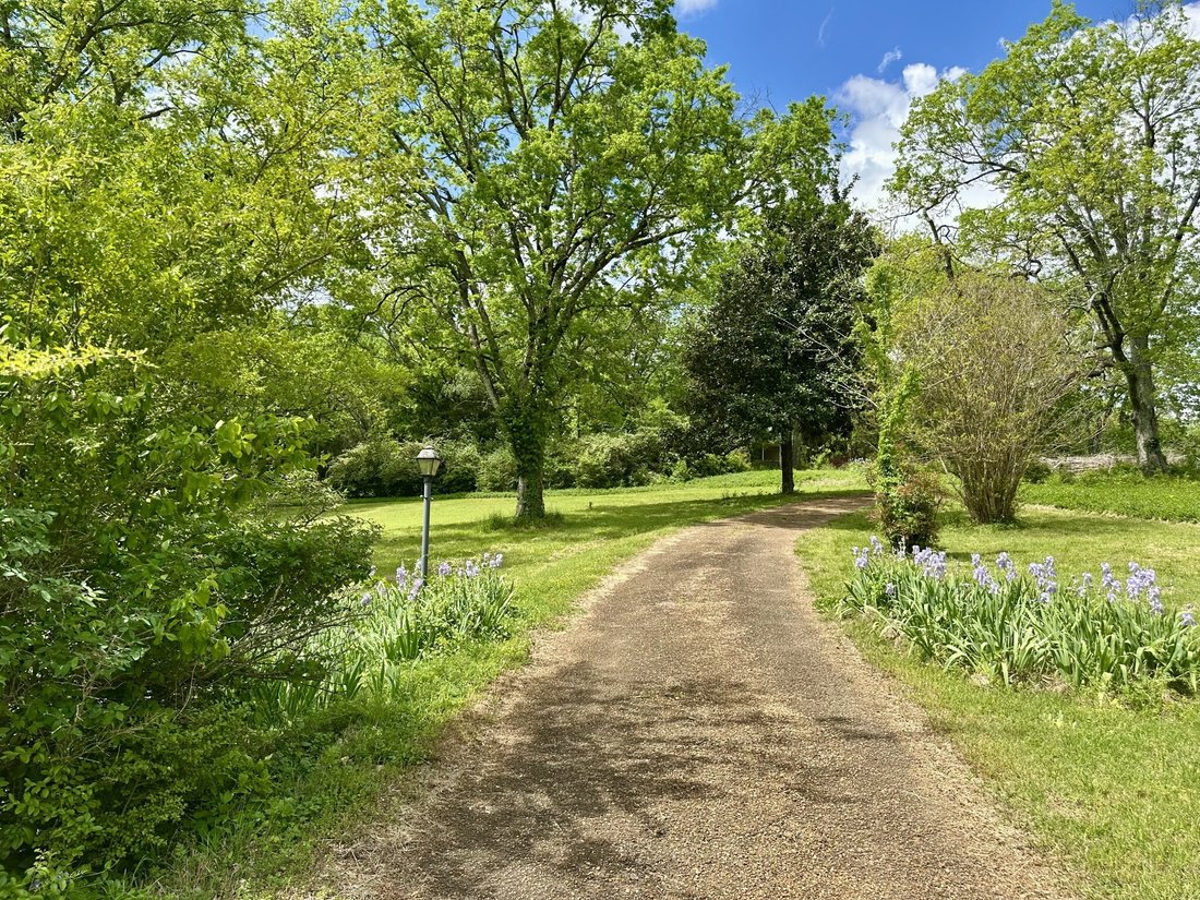 Land in Forest Hills, Tennessee, United States 2 - 18614816