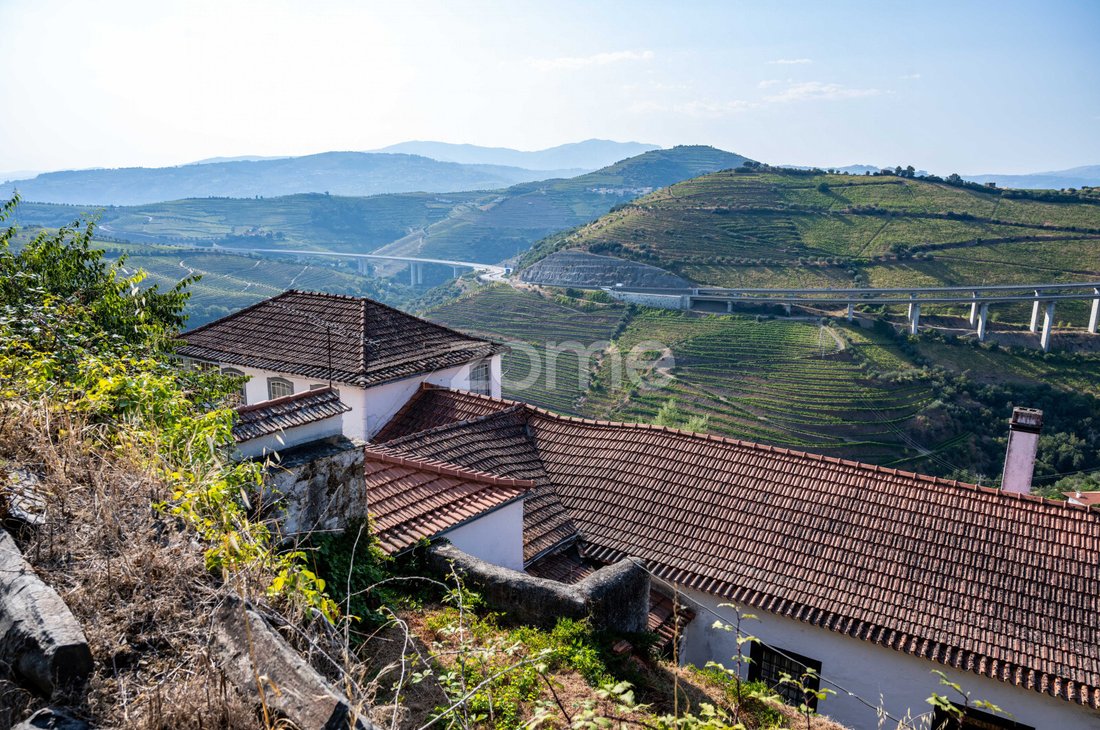 Finca in Vilarinho dos Freires, Vila Real District, Portugal 1 - 18613780