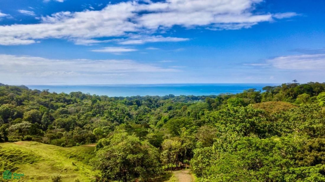 House in Uvita, Puntarenas Province, Costa Rica 4 - 17088228