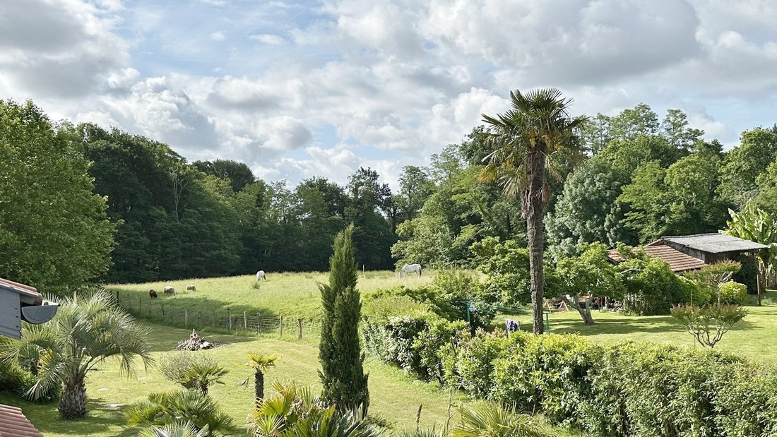 House in Saubrigues, Nouvelle-Aquitaine, France 5 - 18611085