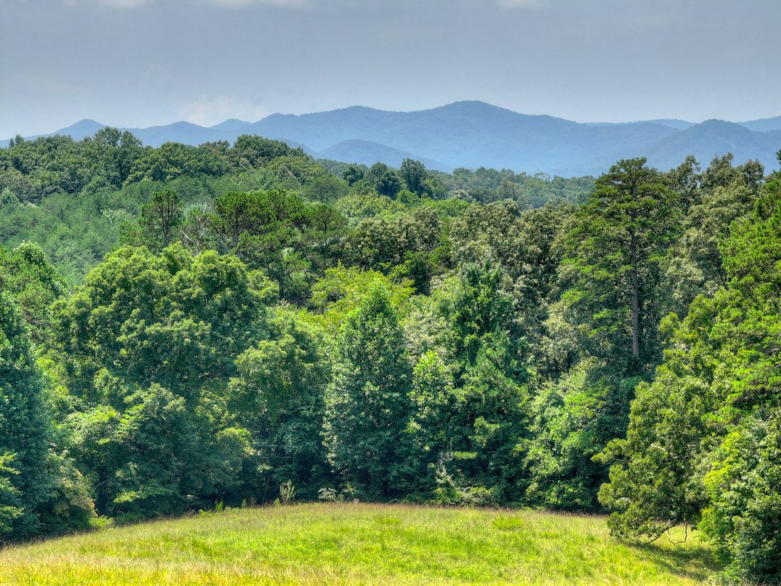 House in Blue Ridge, Georgia, United States 4 - 18611388