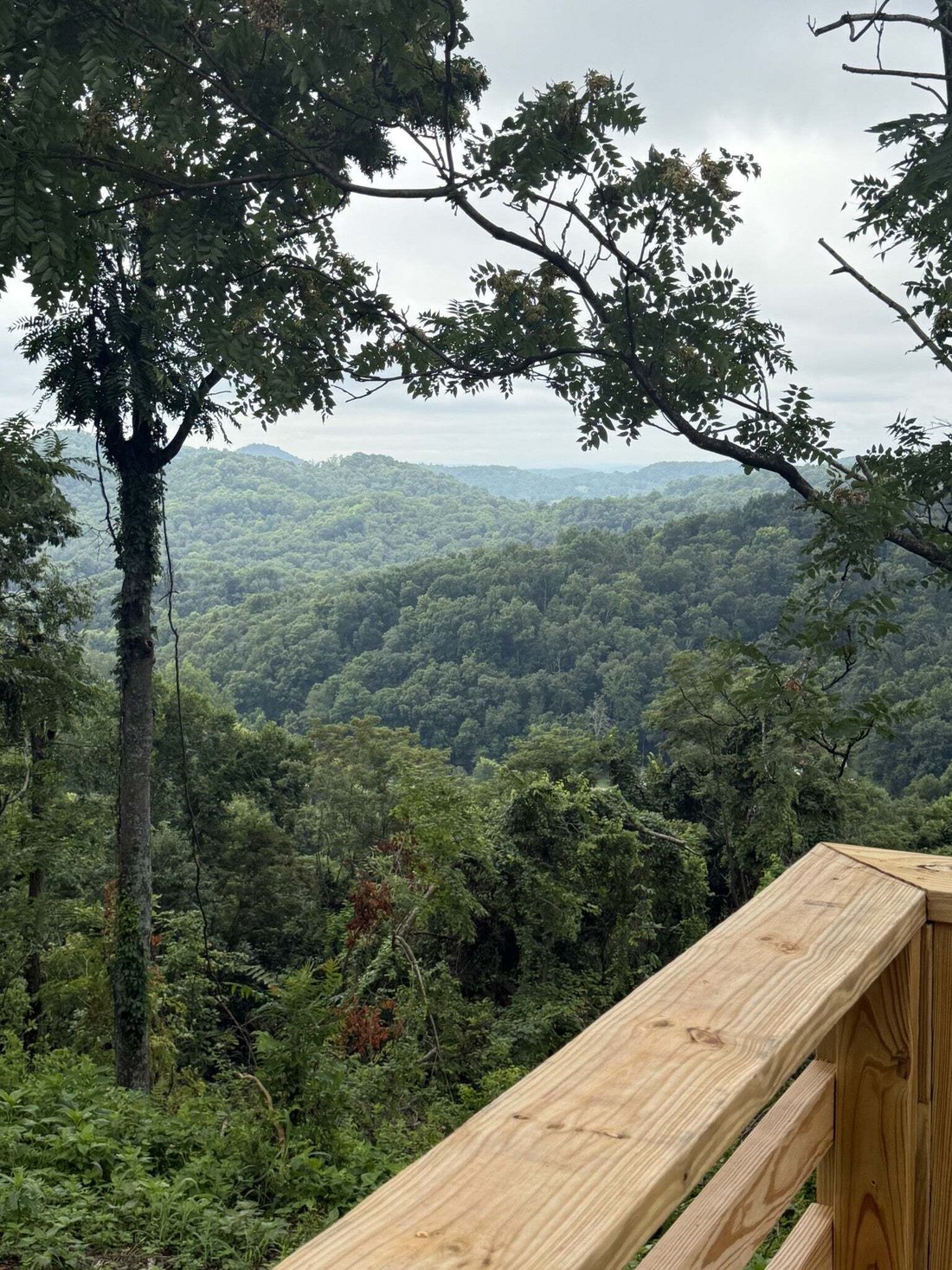 House in Bethpage, Tennessee, United States 2 - 18612488
