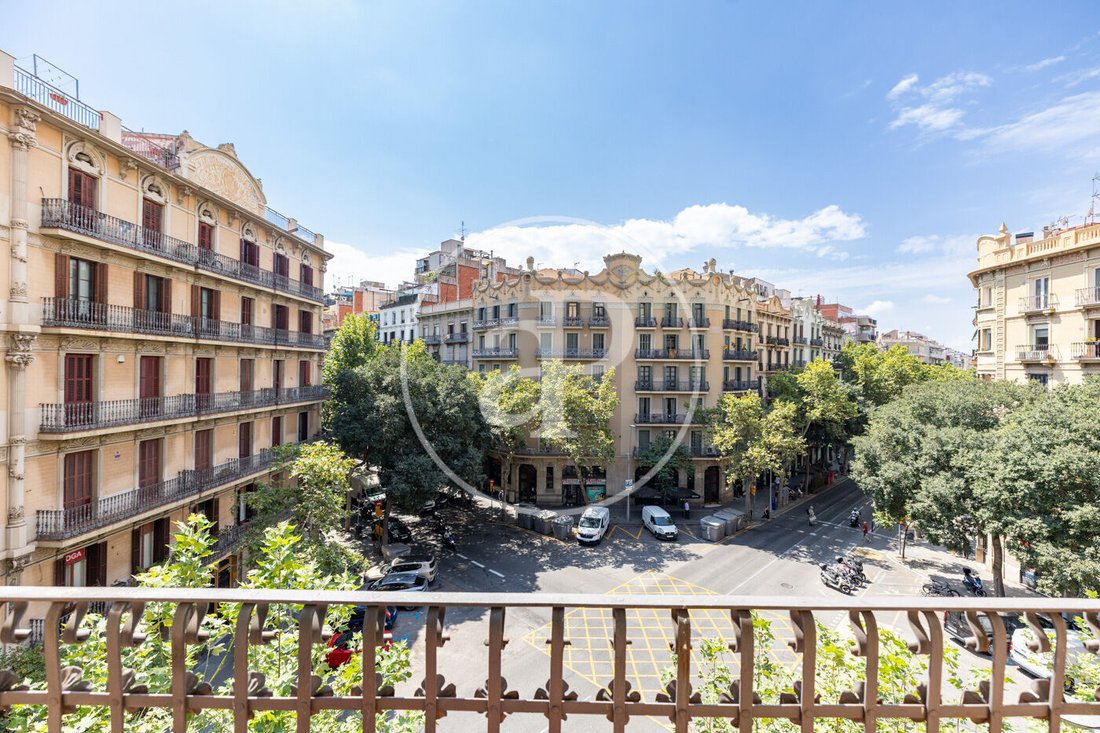 Apartment in Eixample, Barcelona, Spain 5 - 15879990