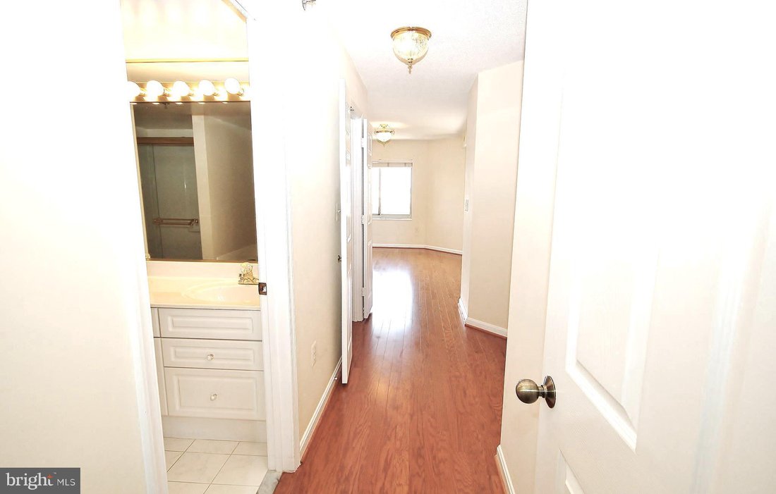 Condo in Alexandria, Virginia, United States 4 - 18608986