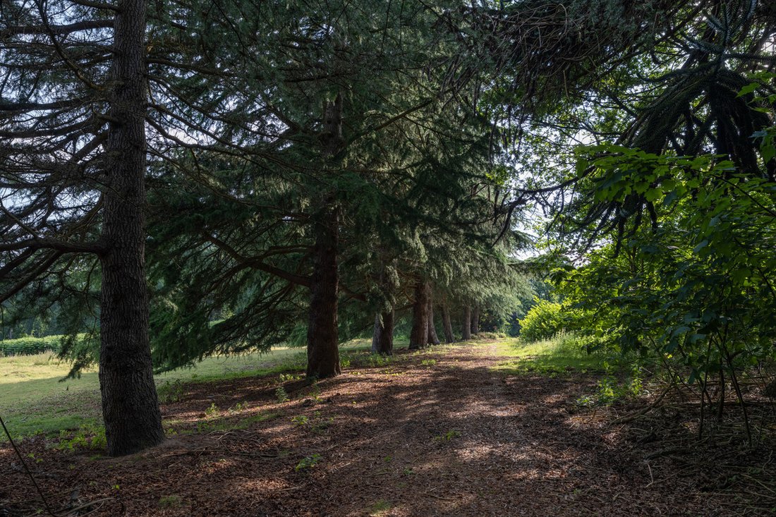 Land in Sunninghill, England 4 - 18613733