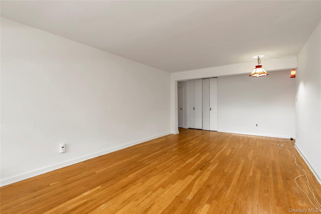 Co Op in Great Neck, New York, United States 4 - 18613243