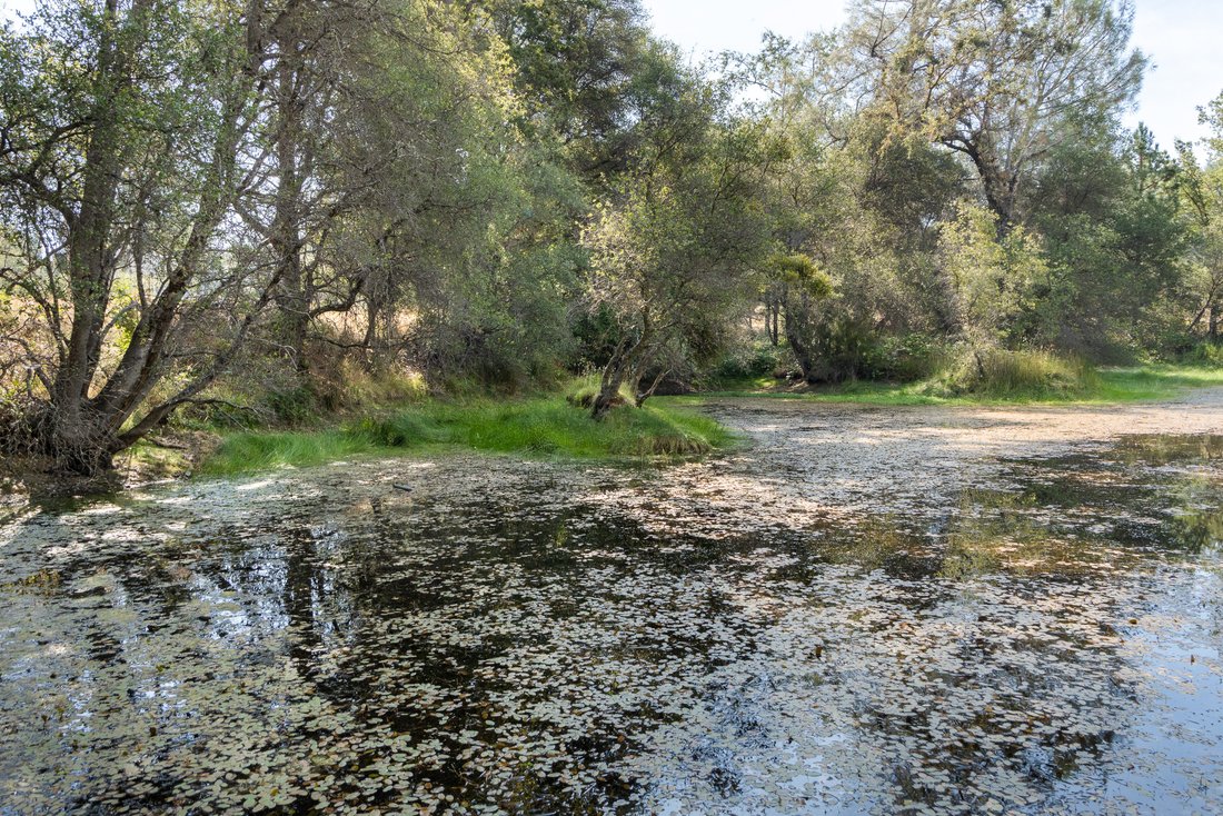 House in Somerset, California, United States 4 - 18610524