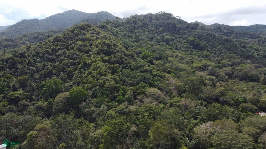 Land in Quebrada Ganado, Puntarenas Province, Costa Rica 3 - 17811451