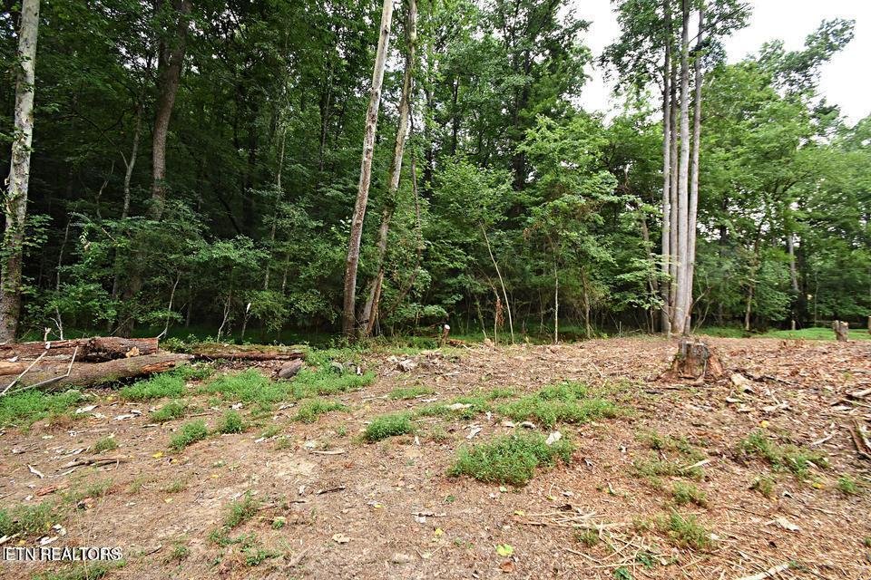 Land in Knoxville, Tennessee, United States 3 - 18609655