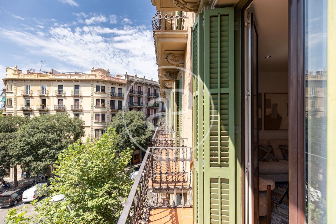 Apartment in Eixample, Barcelona, Spain 3 - 15879990
