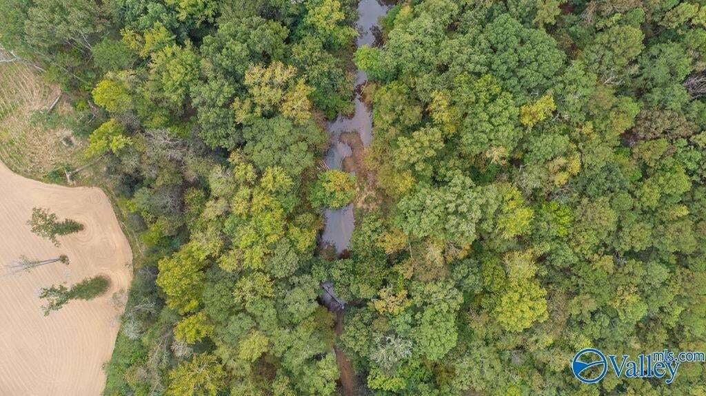 Ohatchee, Alabama, United States 4 - 18615320