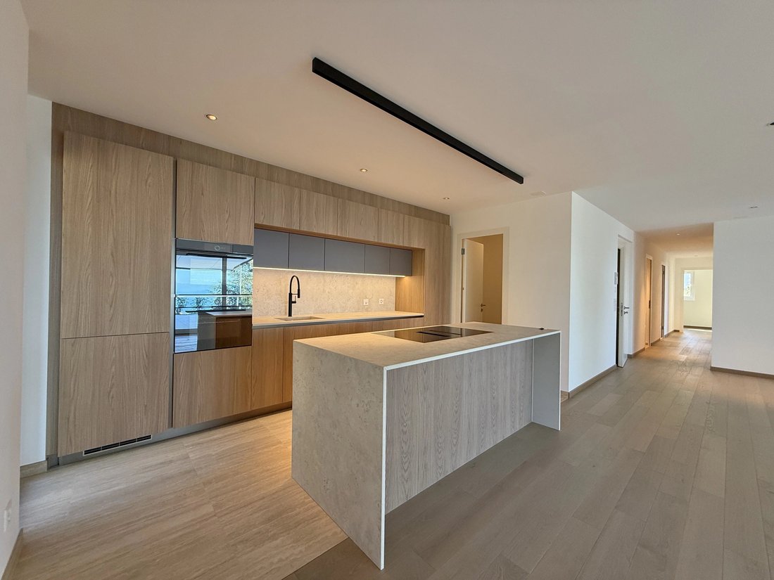 Apartment in Bourg-en-Lavaux, Vaud, Switzerland 4 - 17719298
