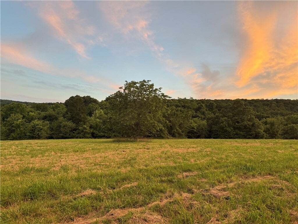 House in Prairie Grove, Arkansas, United States 3 - 18179474