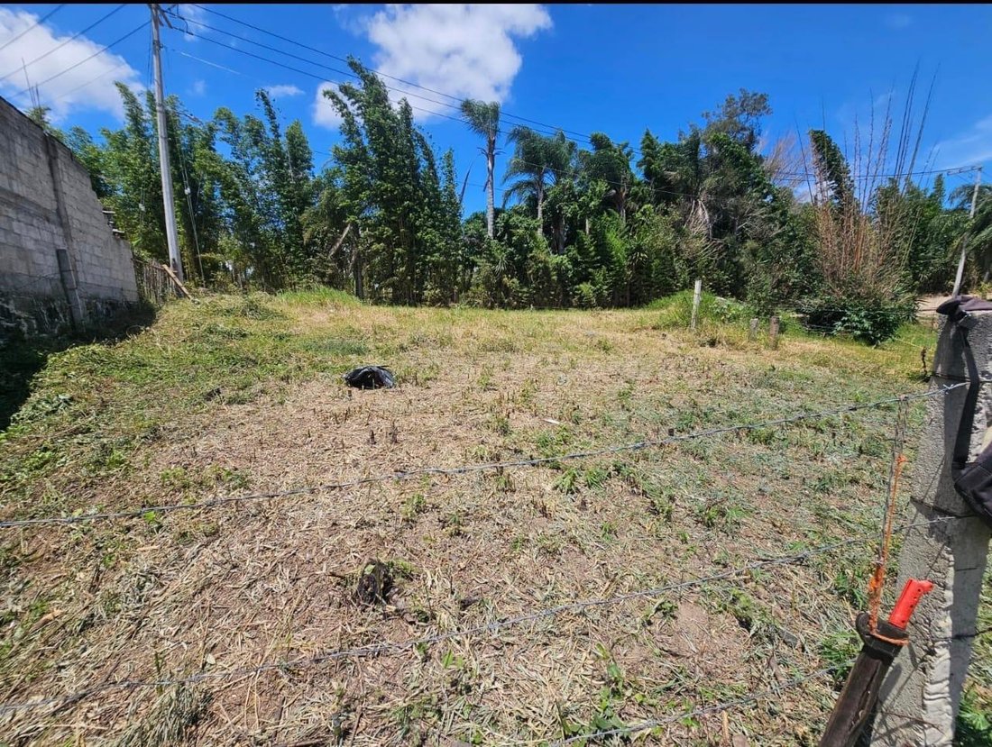 Land in Xalapa, Veracruz, Mexico 3 - 18611486