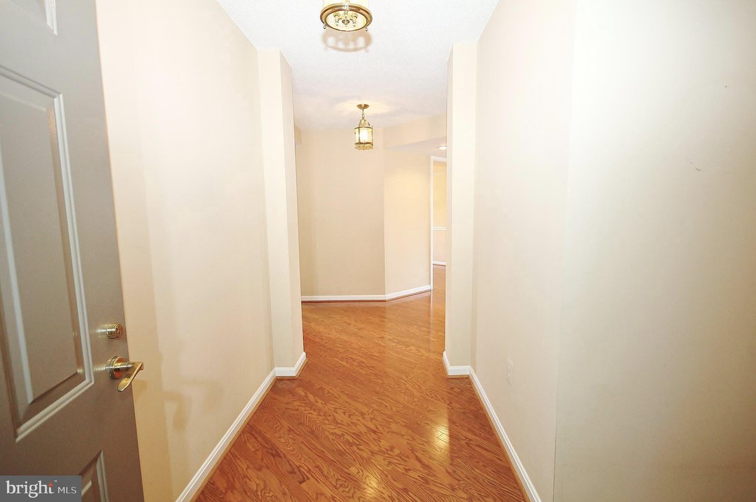 Condo in Alexandria, Virginia, United States 2 - 18608986