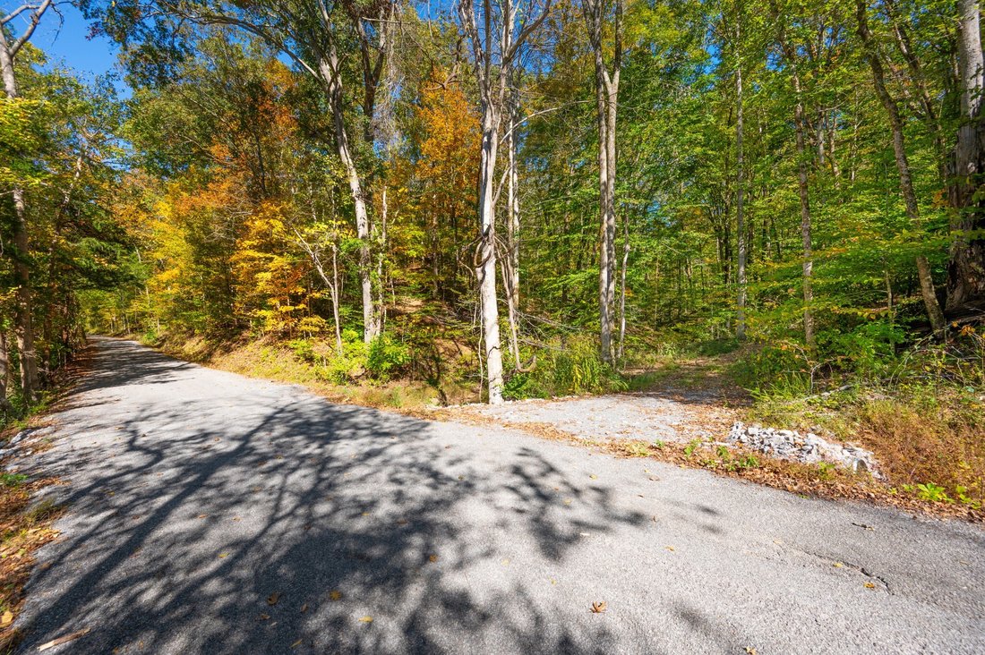 Land in Franklin, Tennessee, United States 5 - 17250000