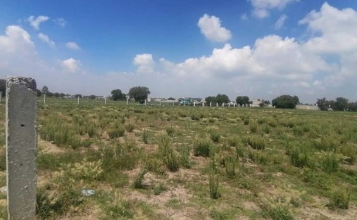 Land in El Carmen, Hidalgo, Mexico 1