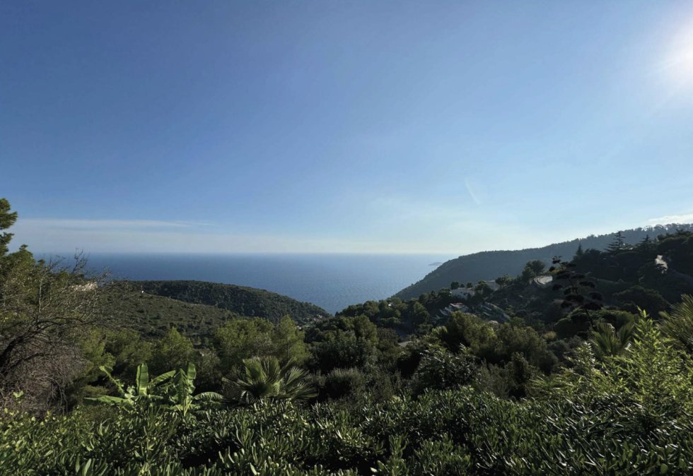 Land in Èze, Provence-Alpes-Côte d'Azur, France 2 - 18612354