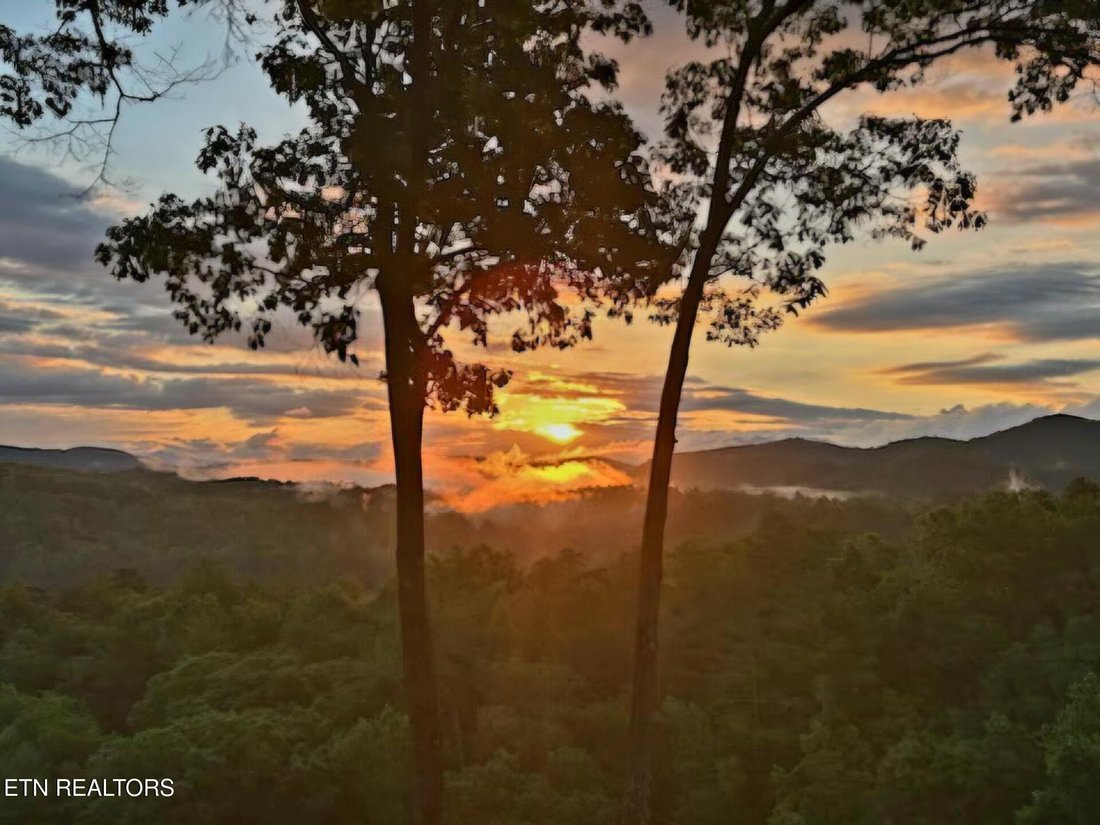 House in Tellico Plains, Tennessee, United States 3 - 18610294