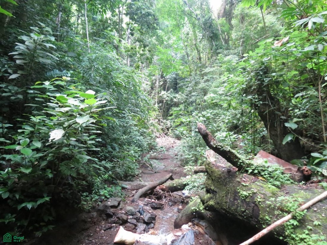 Land in Quebrada Ganado, Puntarenas Province, Costa Rica 4 - 17811451