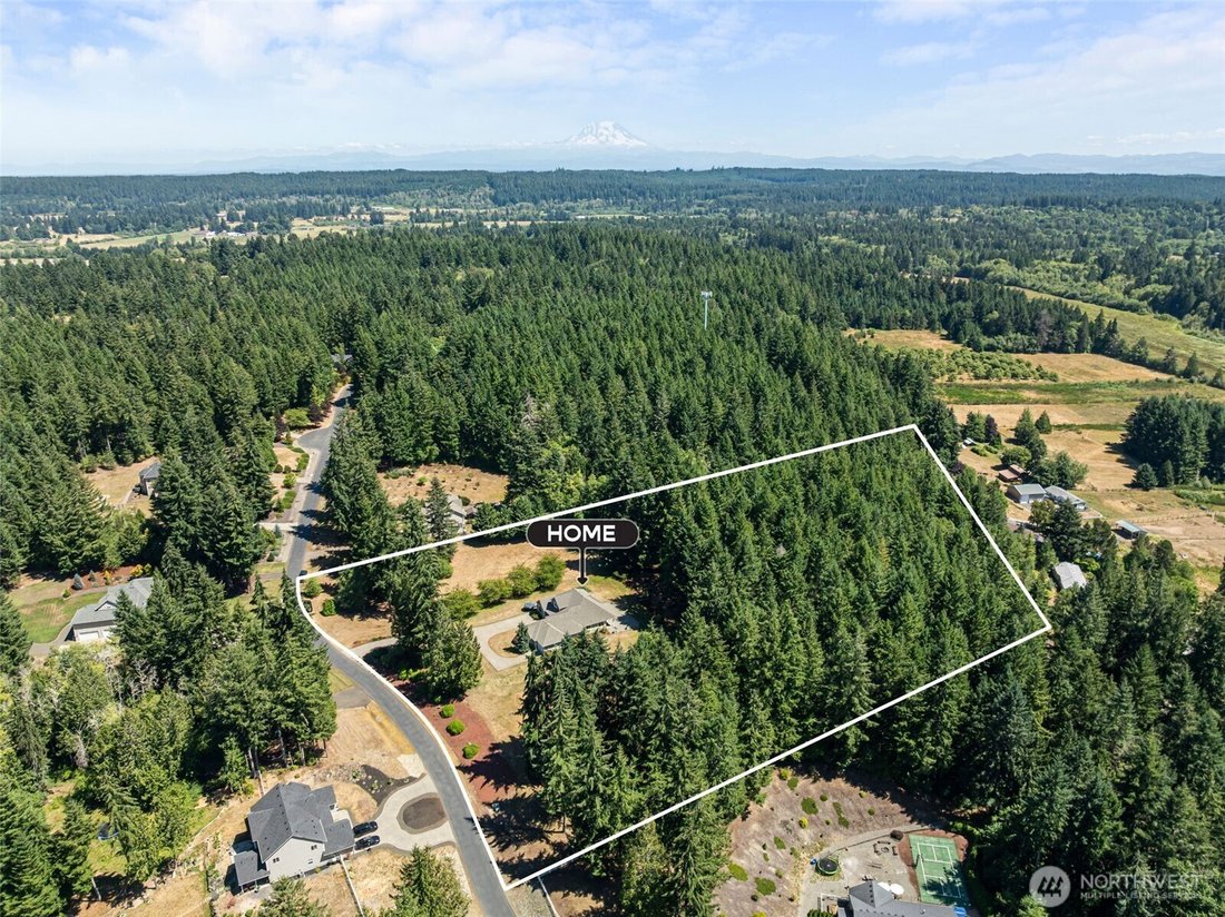 Olympia, Washington, United States 3 - 18614019