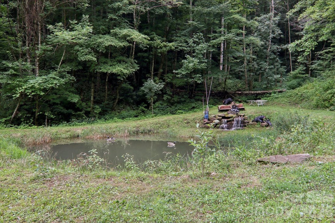 House in Waynesville, North Carolina, United States 5 - 18610572