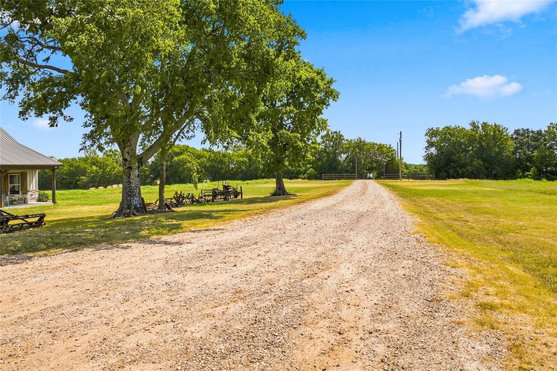 House in Ben Franklin, Texas, United States 3 - 18611399