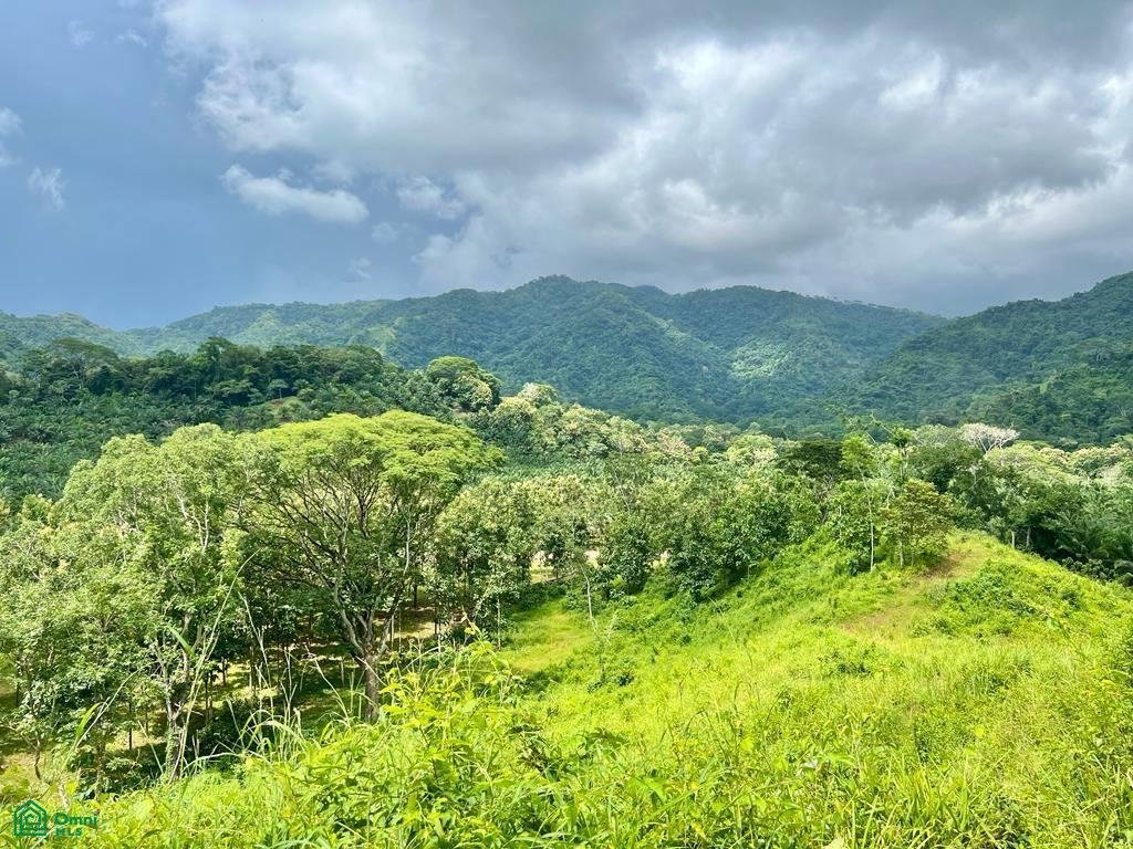 Land in Jaco, Puntarenas Province, Costa Rica 5 - 17811443